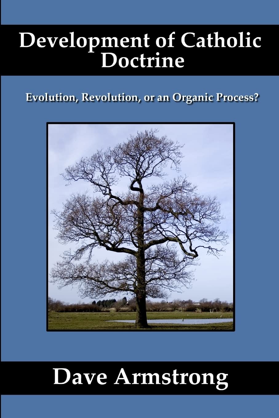 Development Of Catholic Doctrine: Evolution, Revolution, Or An Organic Process?,Used