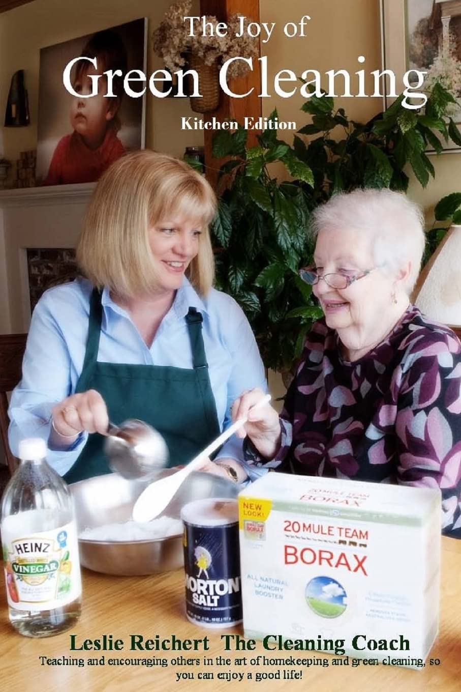 The Joy of Green Cleaning  Kitchen Edition,Used