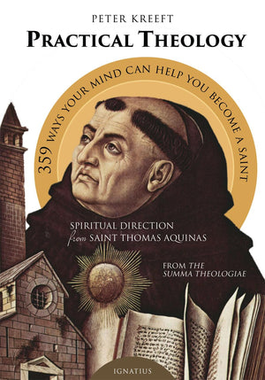 Practical Theology: Spiritual Direction from Saint Thomas Aquinas,Used