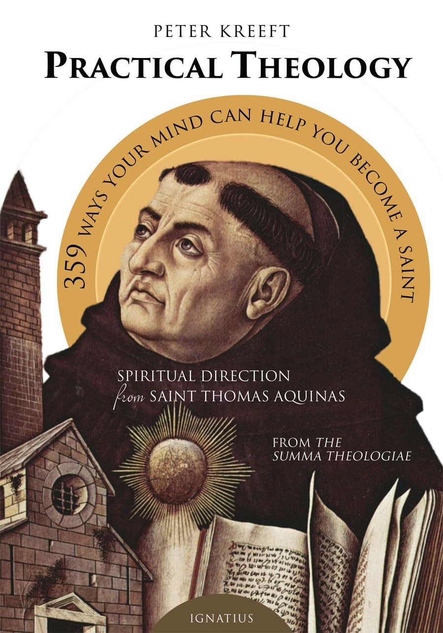 Practical Theology: Spiritual Direction from Saint Thomas Aquinas,Used