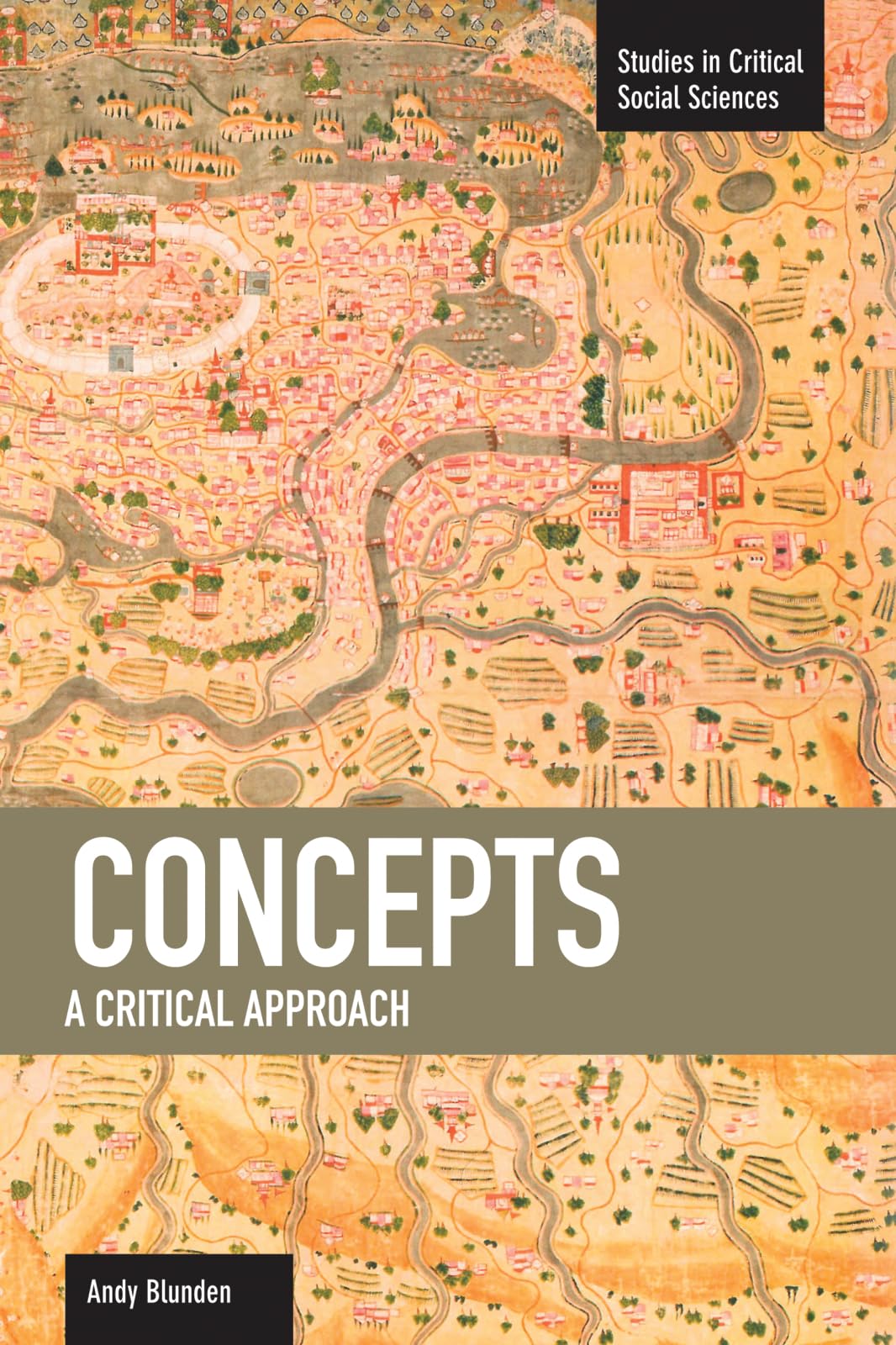 Concepts: A Critical Approach (Studies in Critical Social Sciences),Used