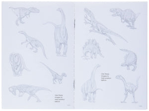 Mini Dinosaurs Tattoos (Dover Little Activity Books: Dinosaurs),Used
