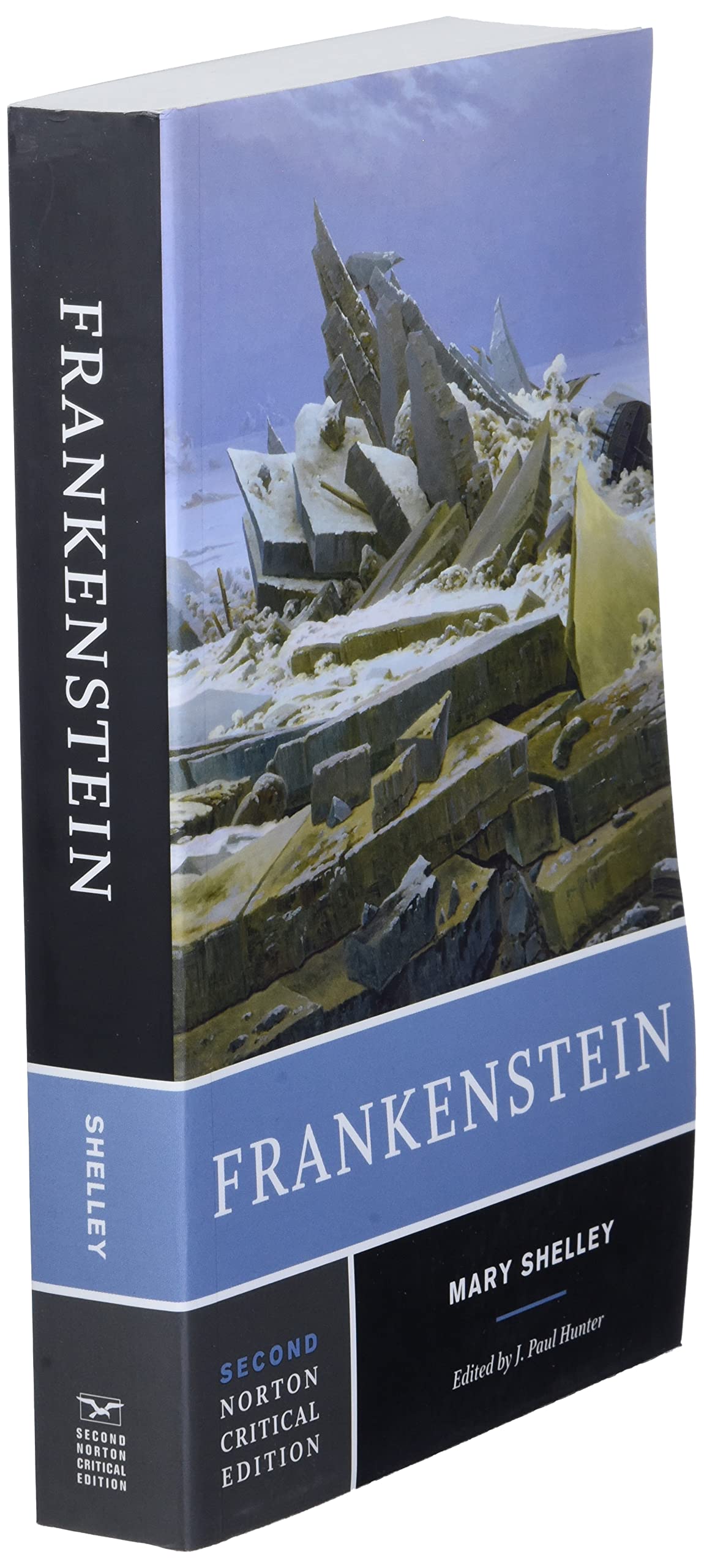 Frankenstein (Norton Critical Editions)-used