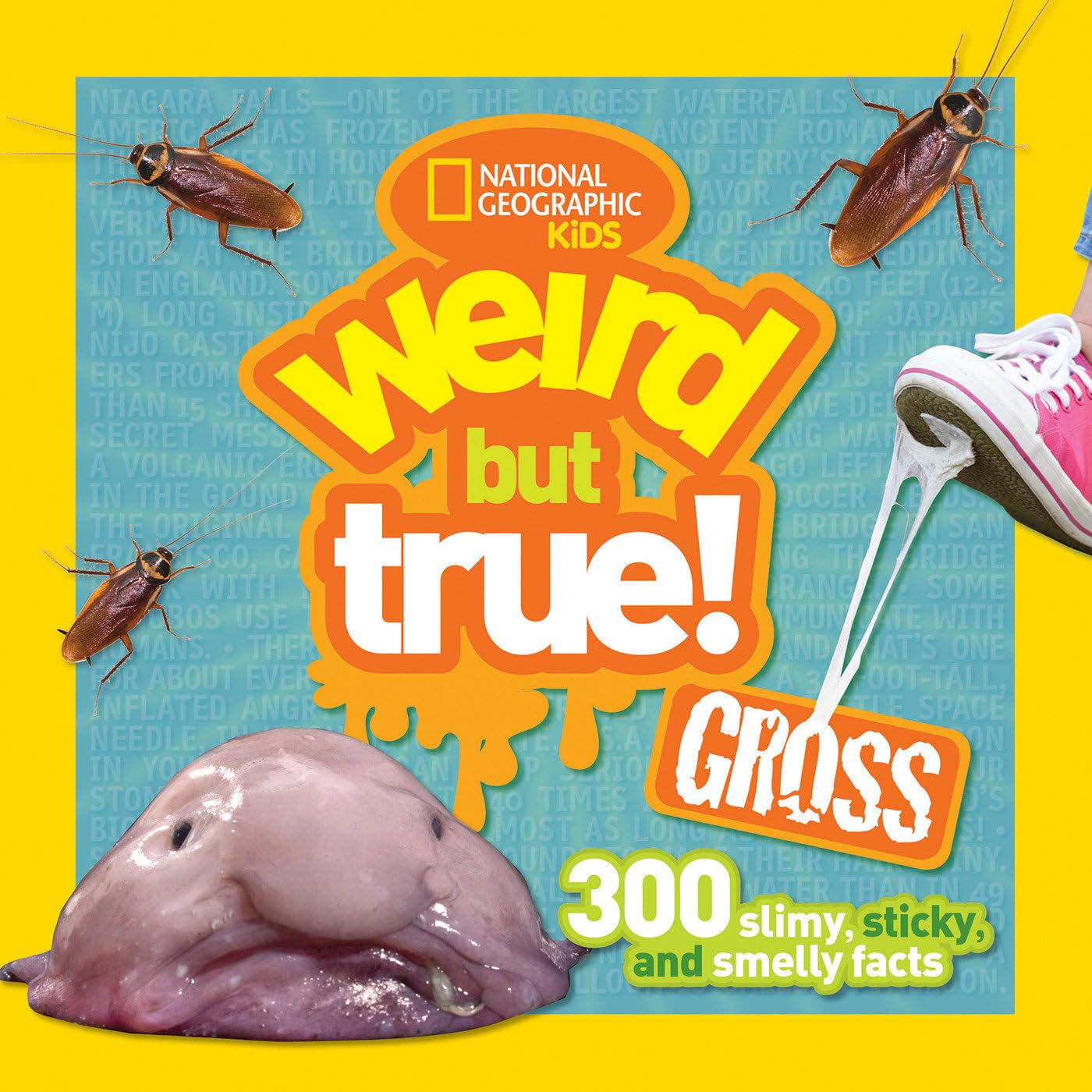 Weird But True Gross: 300 Slimy, Sticky, and Smelly Facts,Used