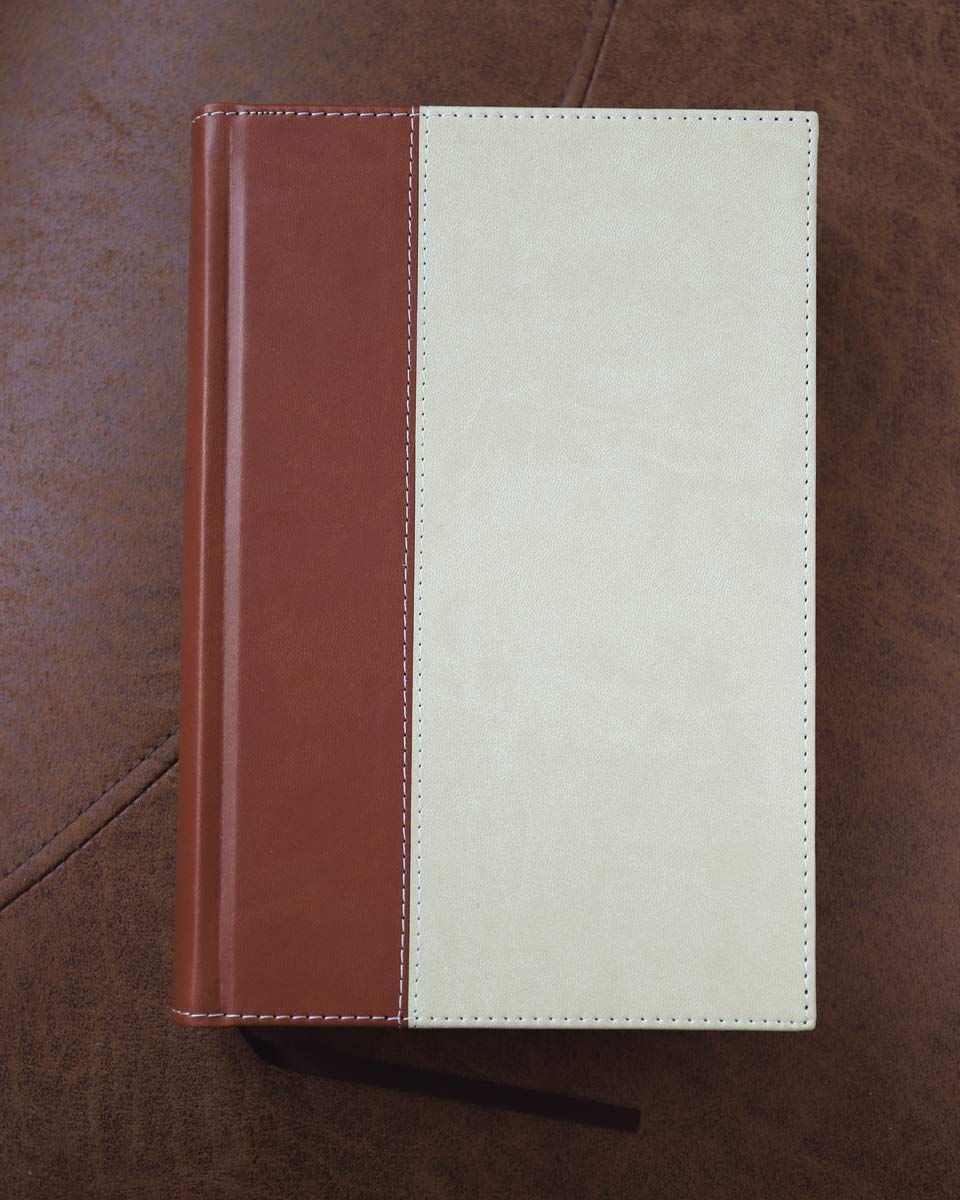 NRSV, Standard Bible with Apocrypha, Hardcover, Tan/Brown: The Bible for Everyone: Trusted, Accurate, Readable,Used