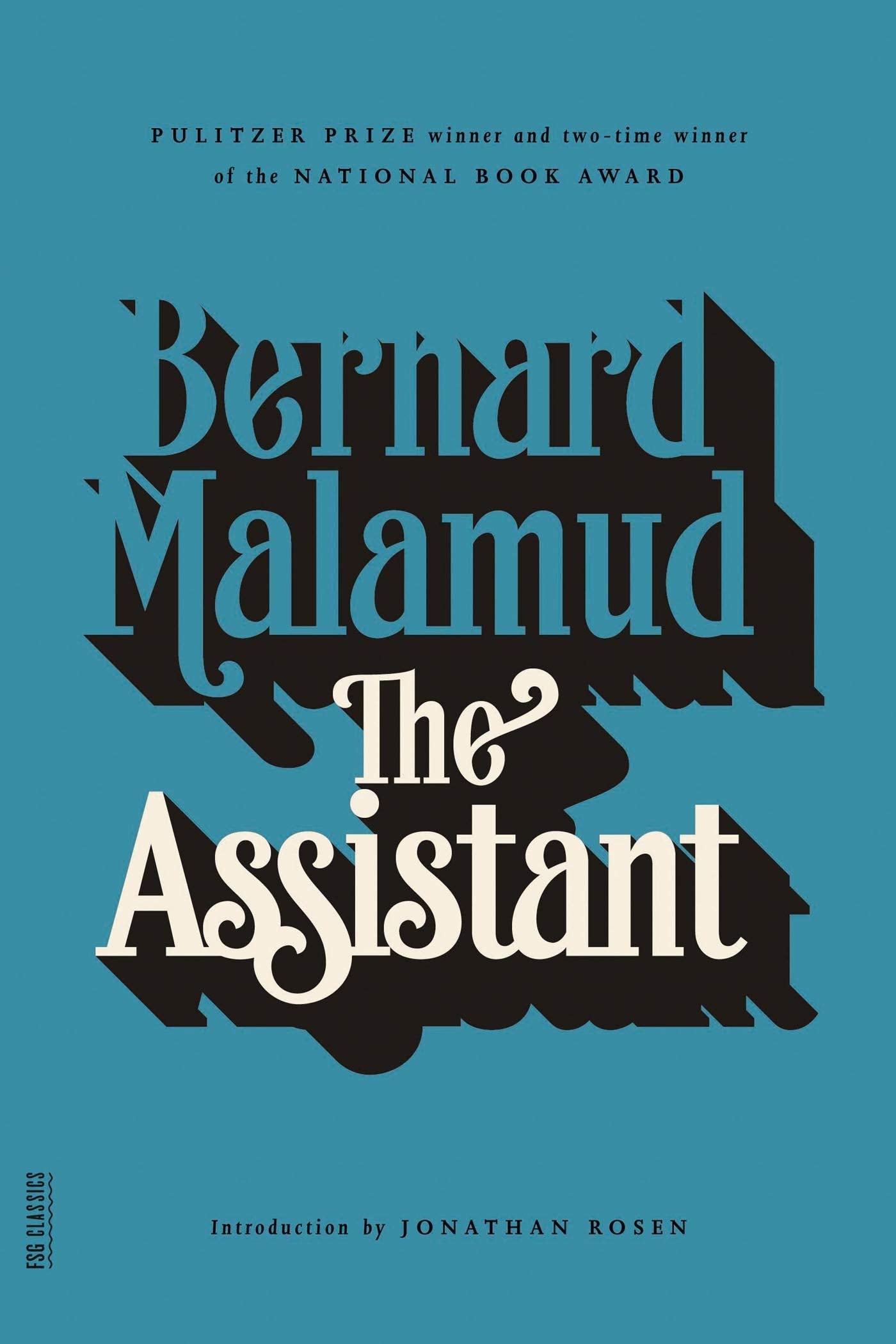 The Assistant: A Novel,Used