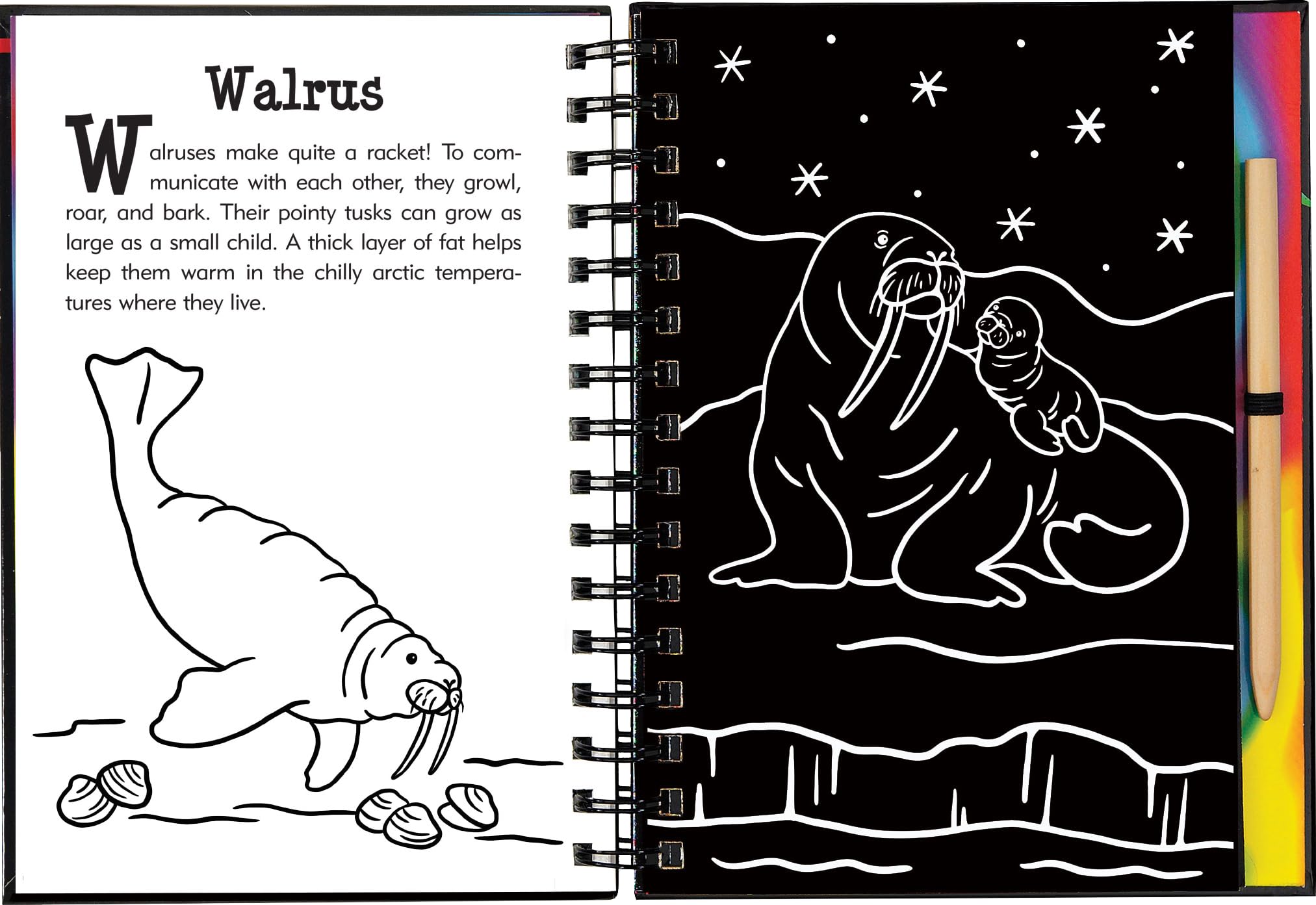 Scratch & Sketch Under the Sea (Trace Along),Used