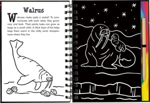 Scratch & Sketch Under the Sea (Trace Along),Used