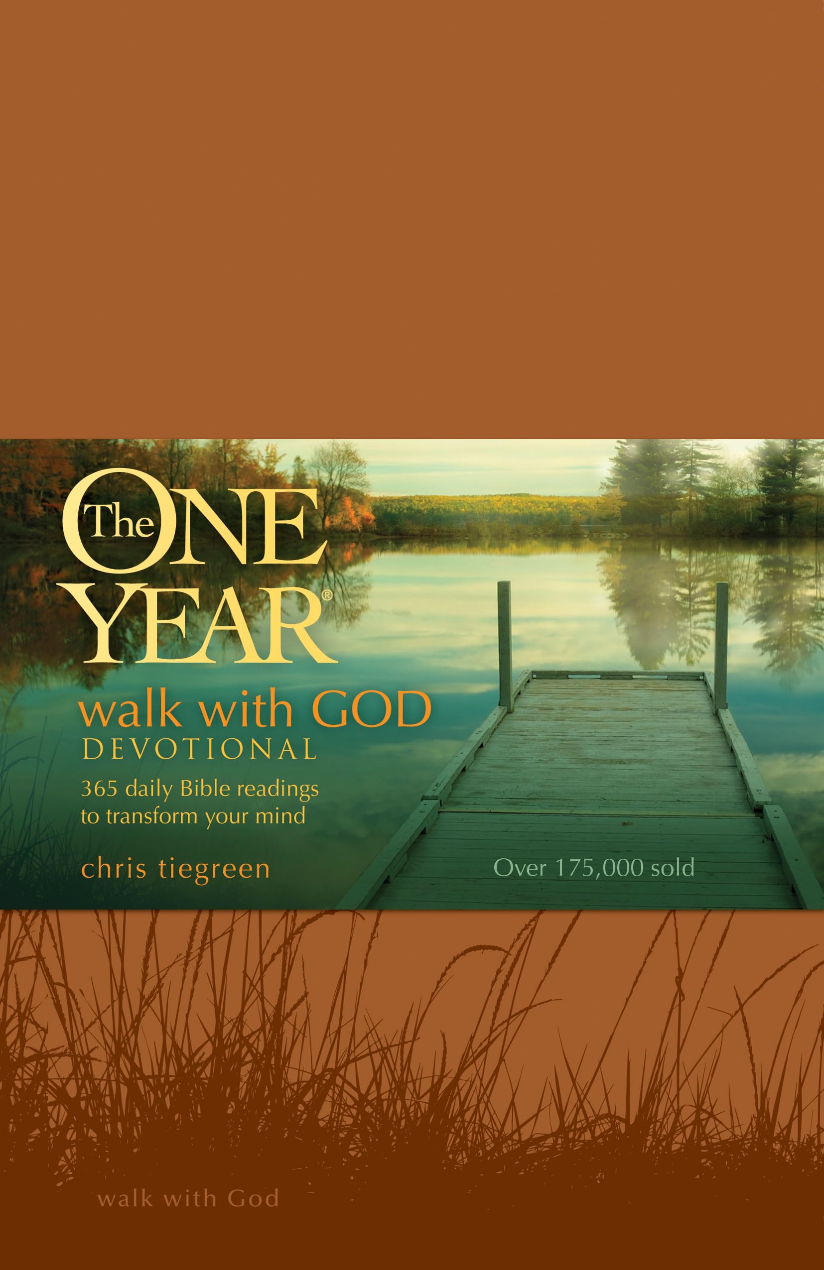 The One Year Walk with God Devotional: 365 Daily Bible Readings to Transform Your Mind (One Year Books),Used