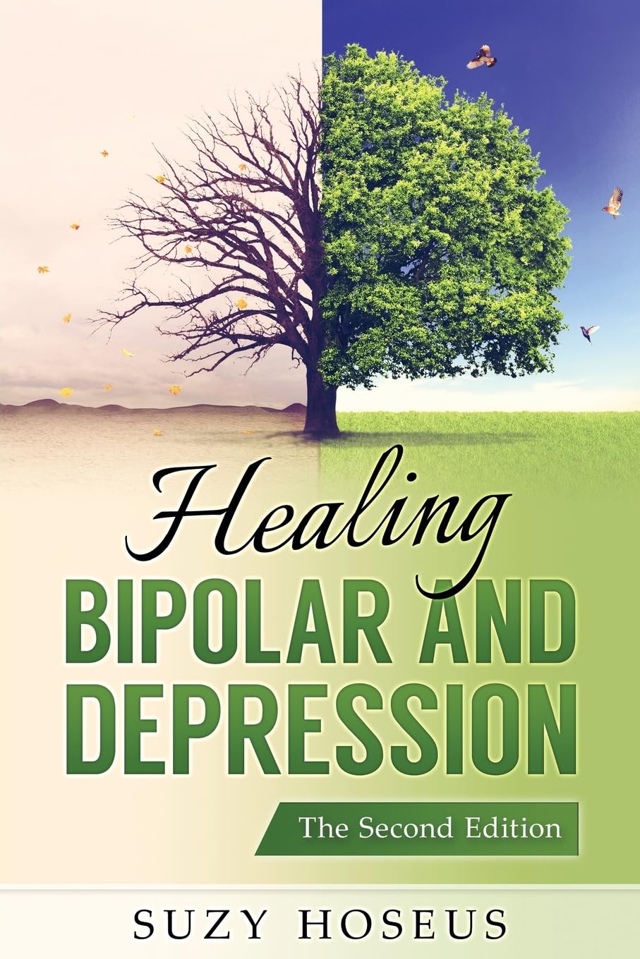 Healing Bipolar and Depression: The Second Edition,Used