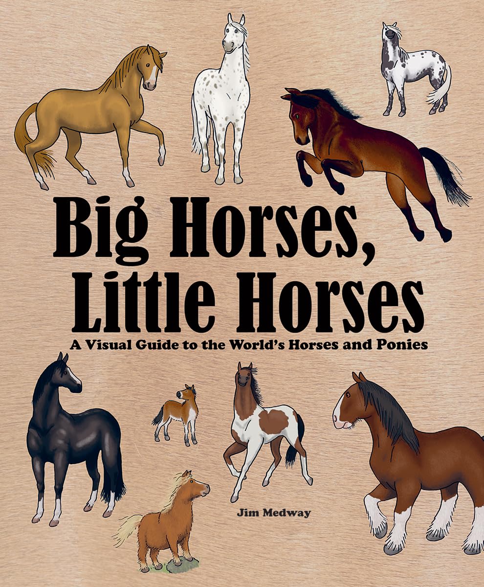 Big Horses, Little Horses: A Visual Guide to the World's Horses and Ponies (Big and Little),Used