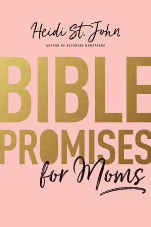 Bible Promises for Moms: Inspirational Verses of Hope & Encouragement for Christian Mothers,Used