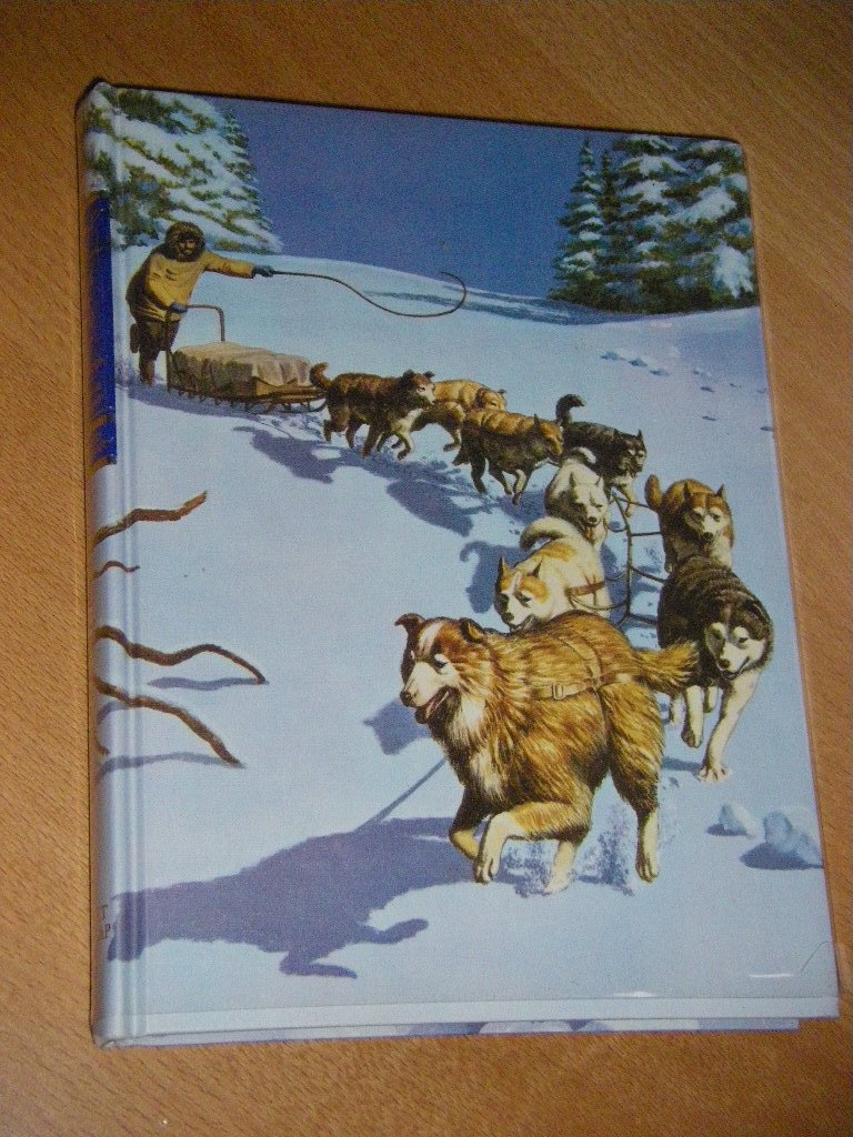 The Call of the Wild and Other Stories (Illustrated Junior Library),Used