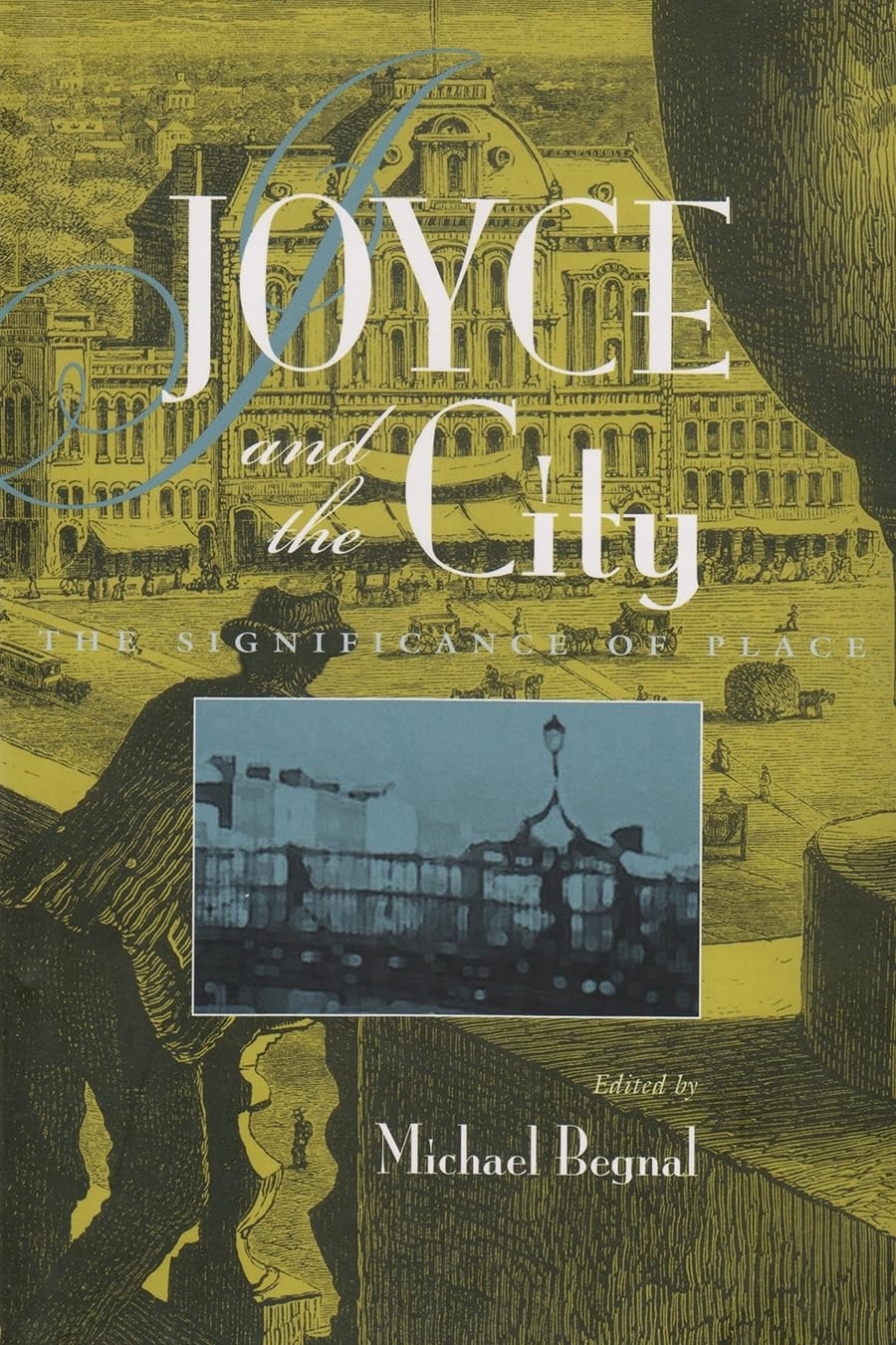 Joyce and the City: The Significance of Place (Irish Studies),Used