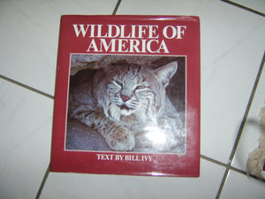 Wildlife of America,Used