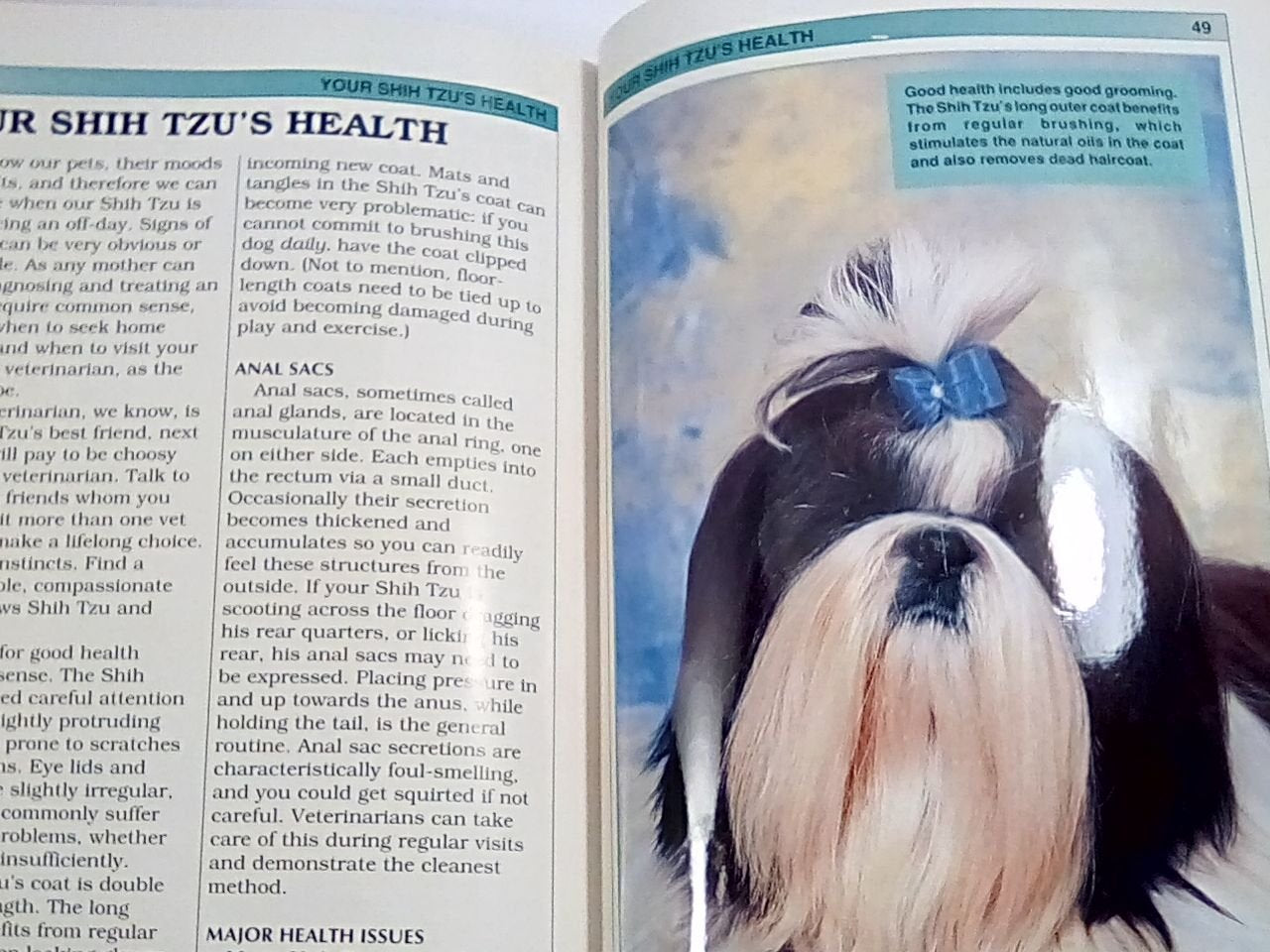 Shih Tzu (Popular Dog Library),Used