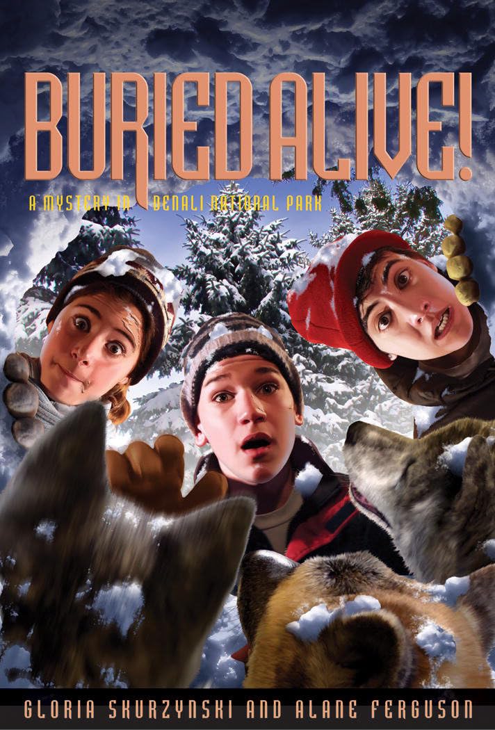 Mysteries in Our National Parks: Buried Alive: A Mystery in Denali National Park,Used