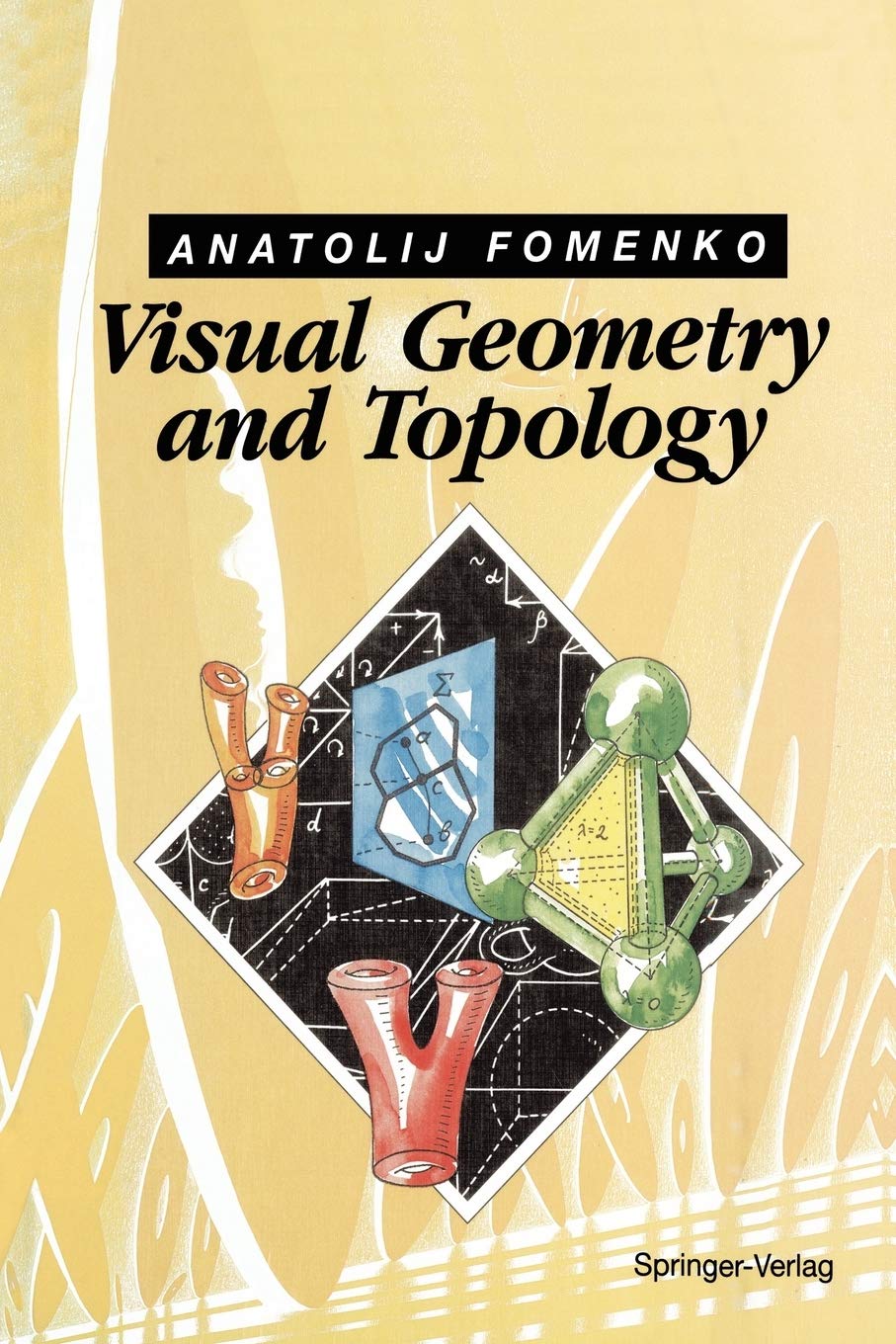 Visual Geometry And Topology,Used