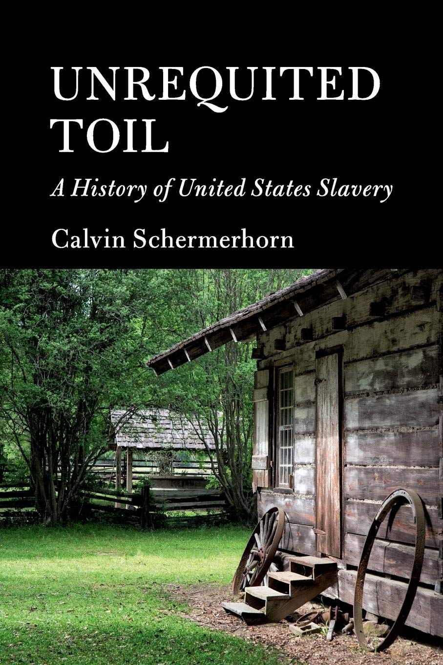 Unrequited Toil: A History of United States Slavery (Cambridge Essential Histories),Used