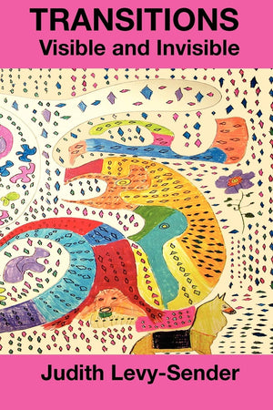 Transitions Visible And Invisible,Used