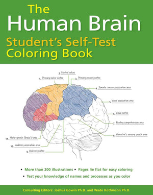 Human Brain Student'S Selftest Coloring Book (Barron'S Test Prep)