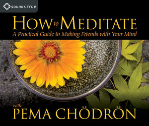 How to Meditate: A Practical Guide to Making Friends with Your Mind,New
