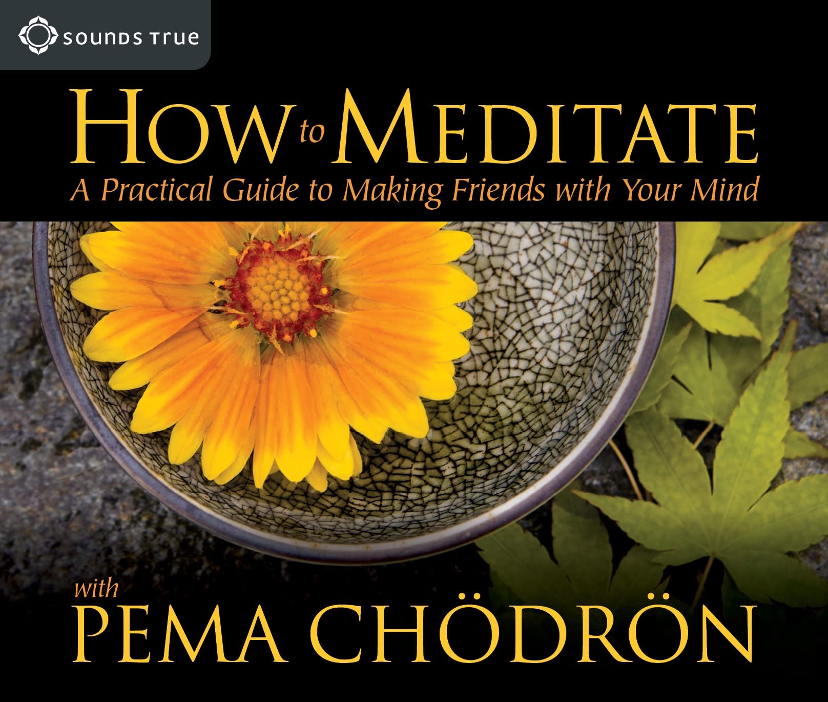 How to Meditate: A Practical Guide to Making Friends with Your Mind,Used