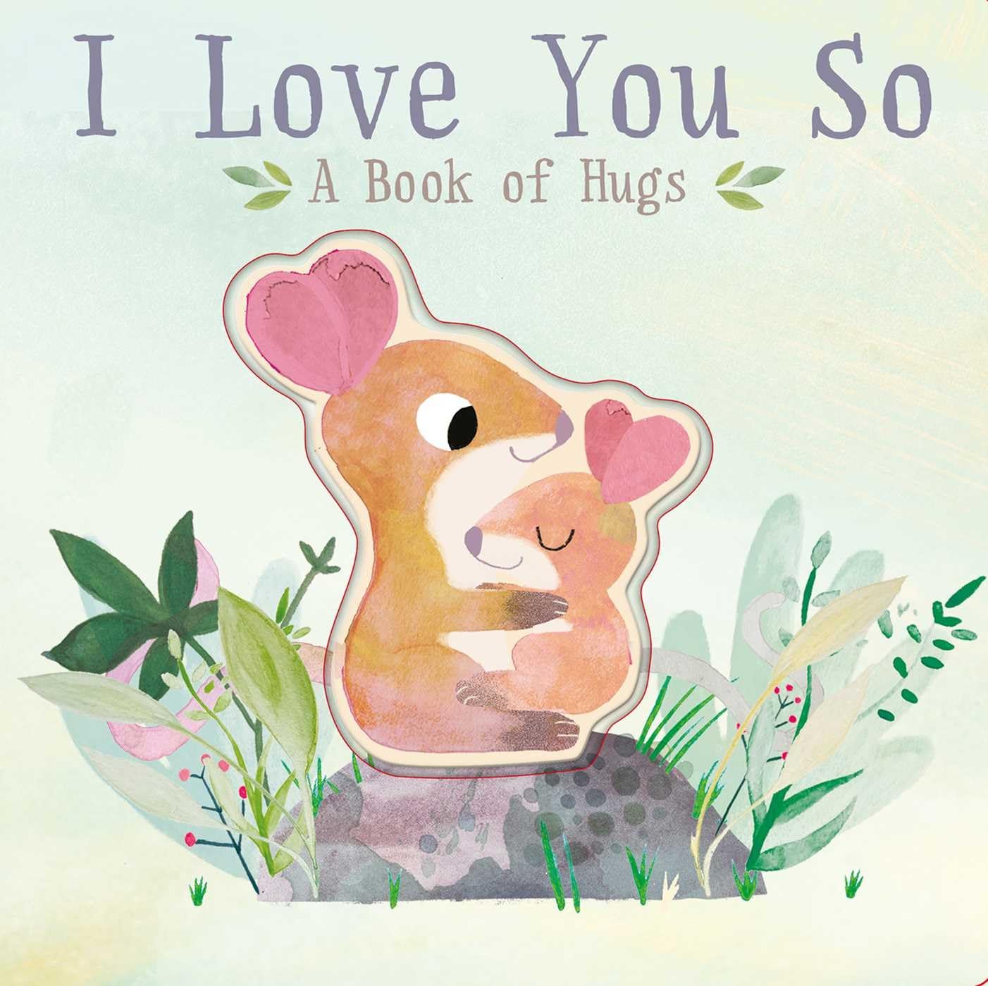 I Love You So: A Book of Hugs,Used