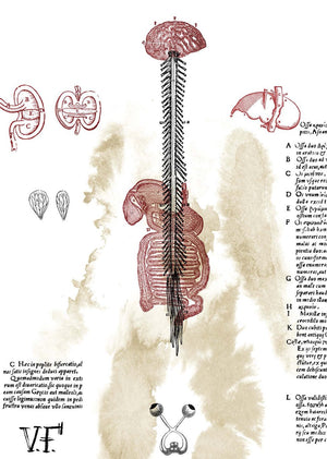 Classics Reimagined, Frankenstein,Used