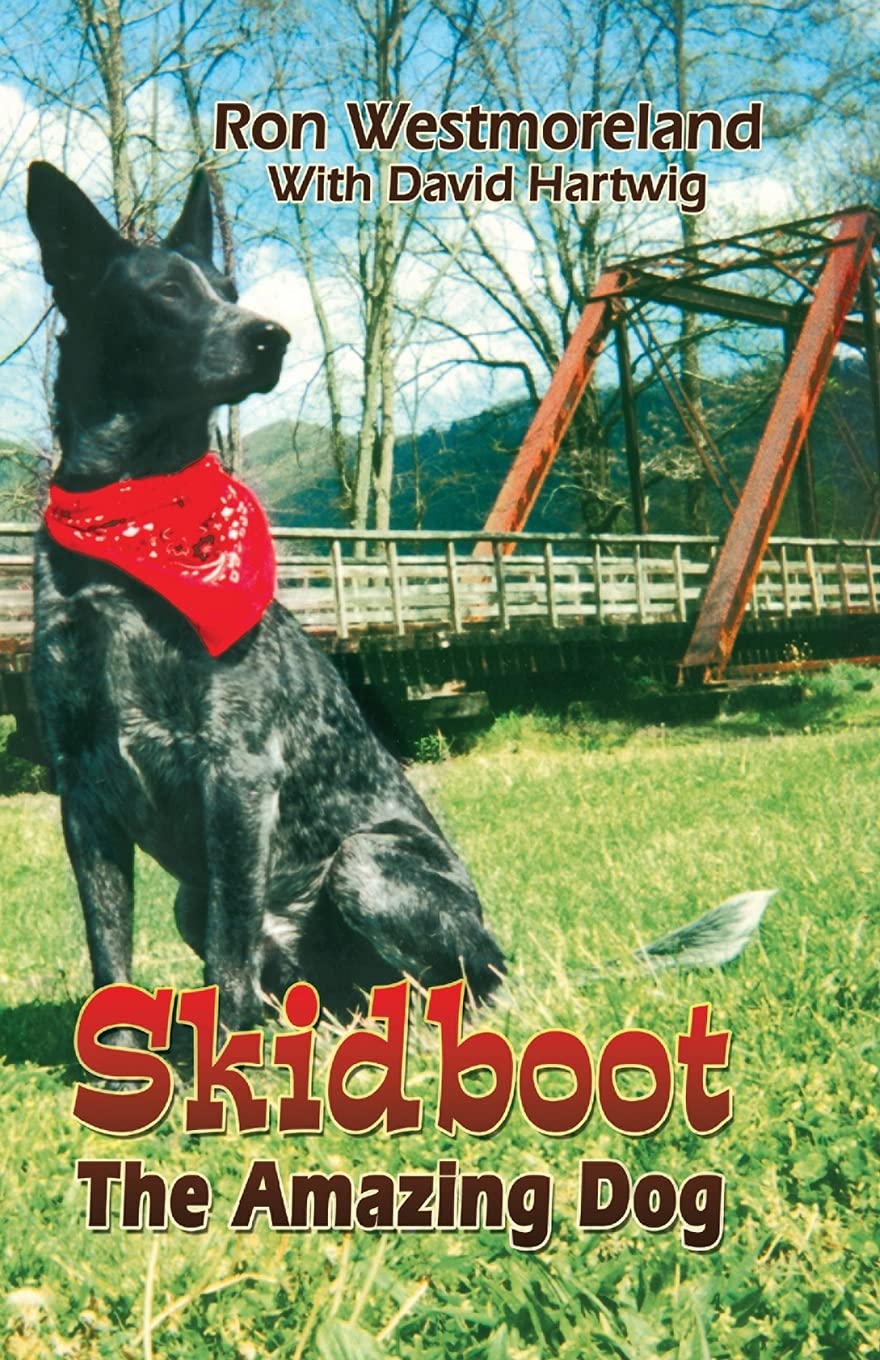 Skidboot the Amazing Dog,Used