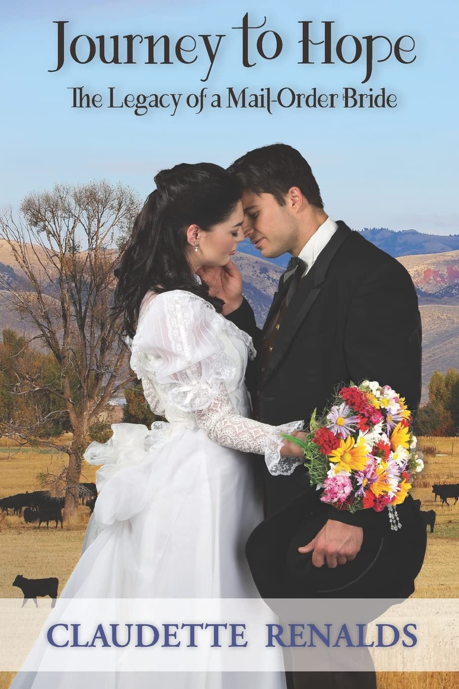 Journey to Hope: The Legacy of a MailOrder Bride,Used