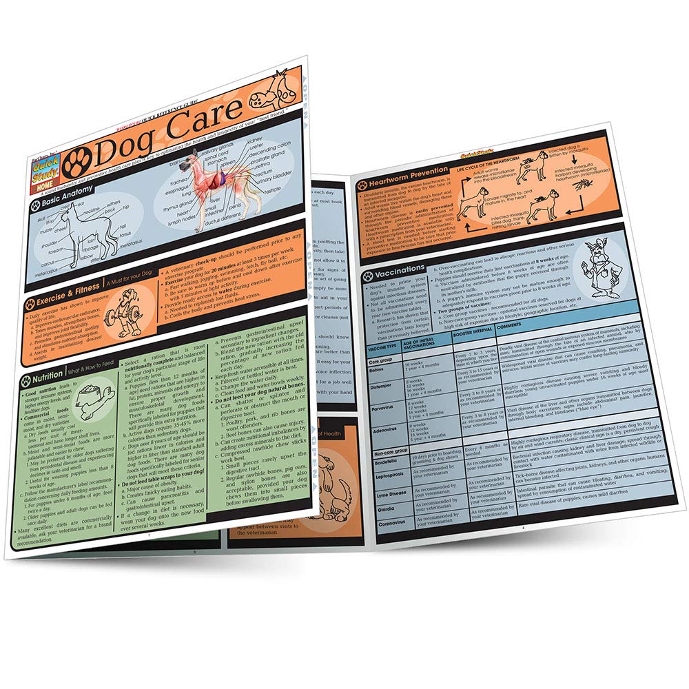 Dog Care (Quickstudy),Used