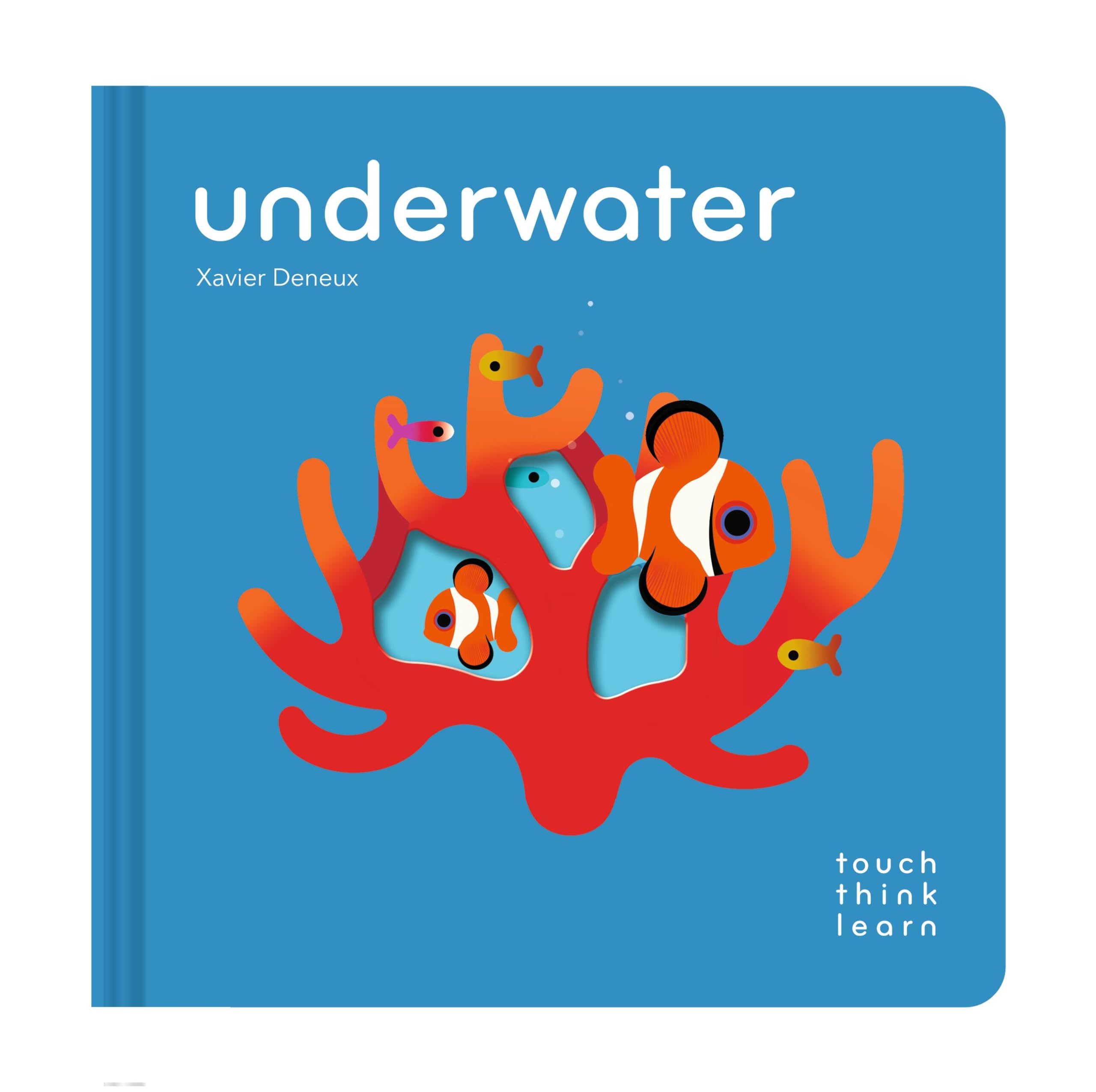TOUCHTHINKLEARN UNDERWATER