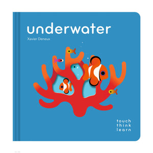 TOUCHTHINKLEARN UNDERWATER