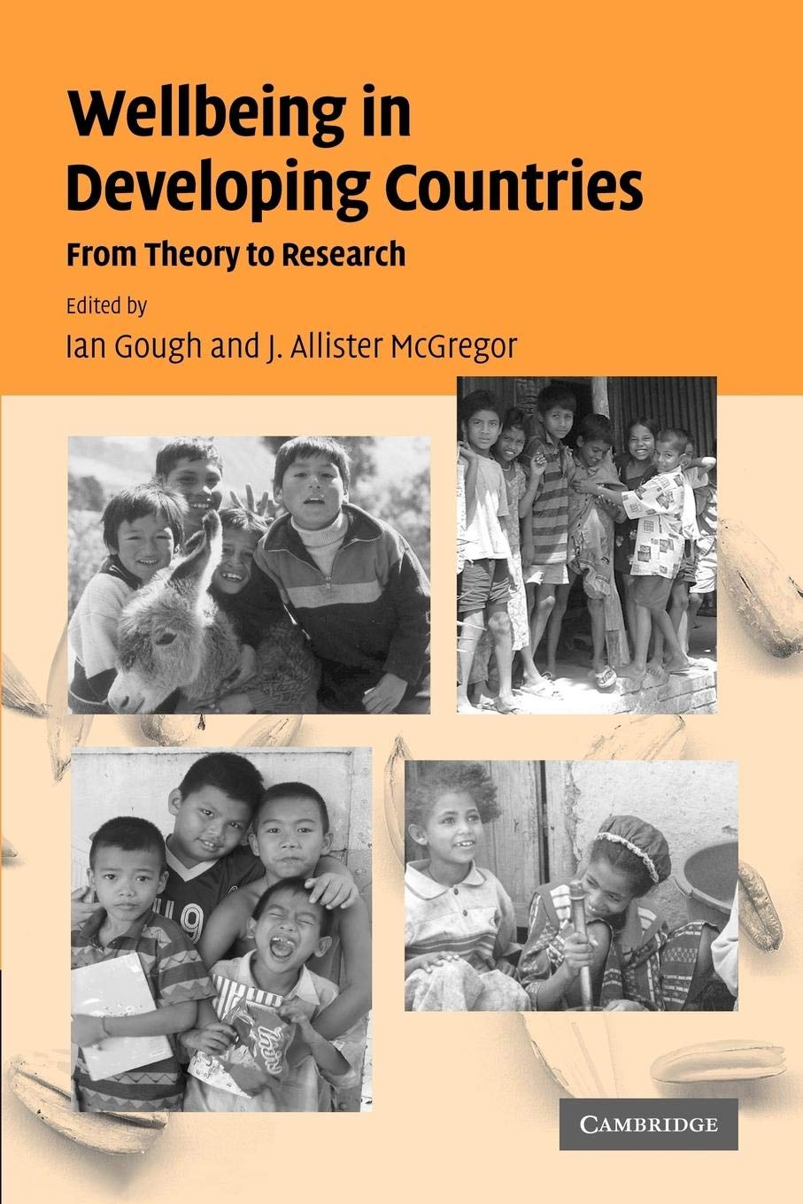 Wellbeing in Developing Countries: From Theory to Research,Used