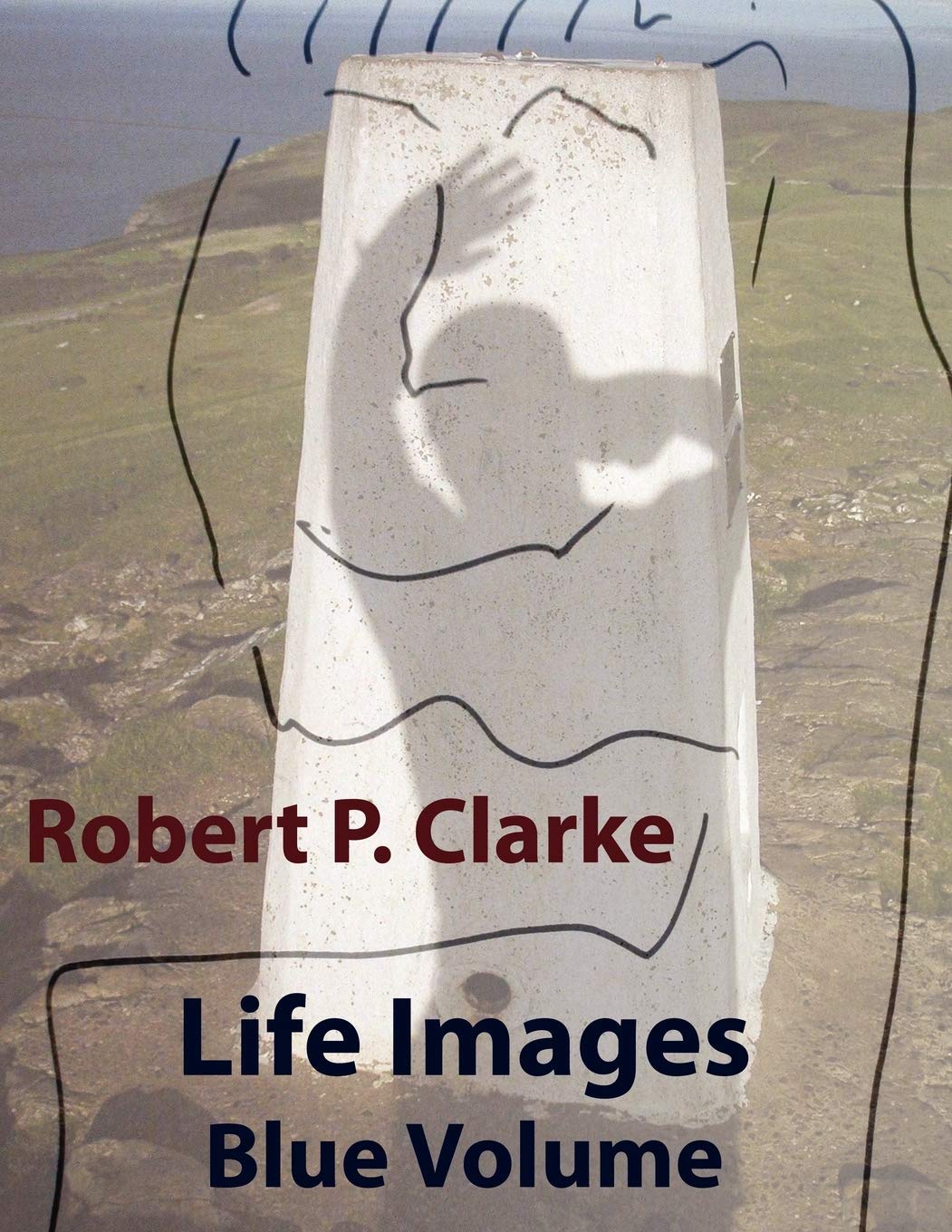 Life Images Blue Volume,Used