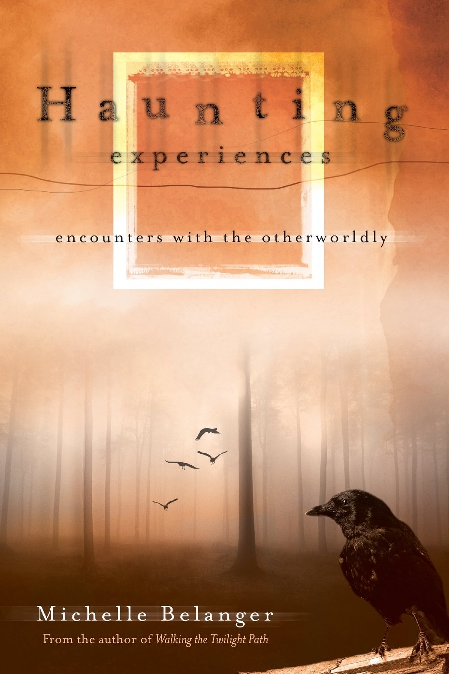 Haunting Experiences: Encounters with the Otherworldly,Used
