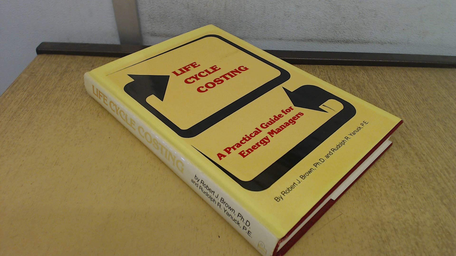 Life Cycle Costing: A Practical Guide For Energy Managers-new