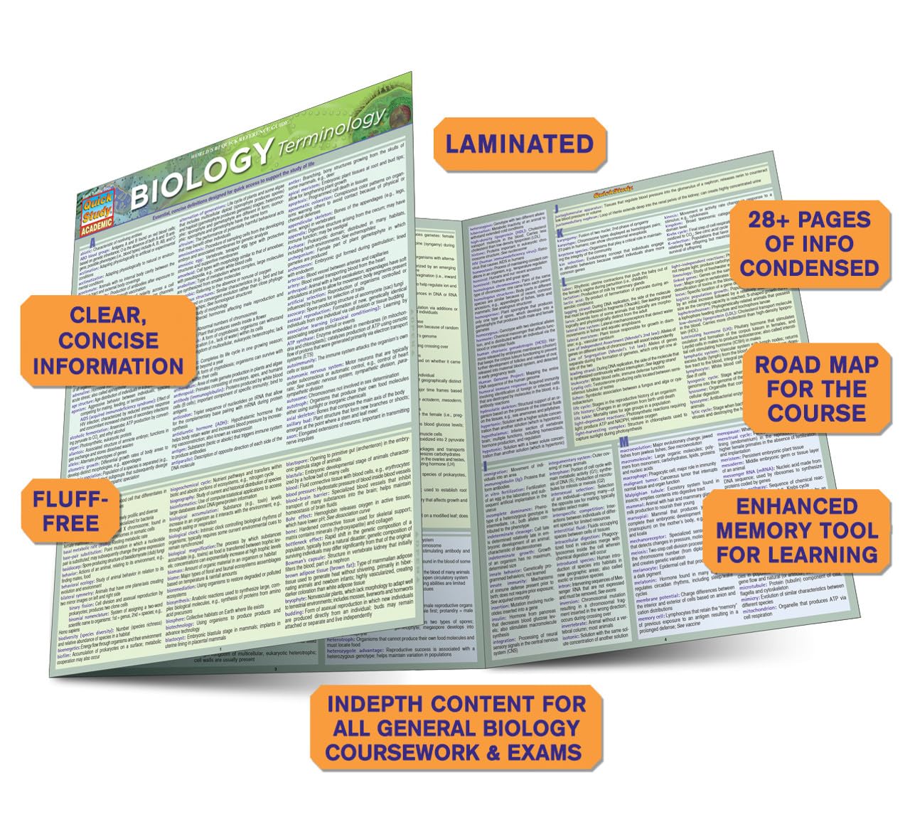 Biology Terminology Quickstudy Laminated Reference Guide (Quickstudy Academic)