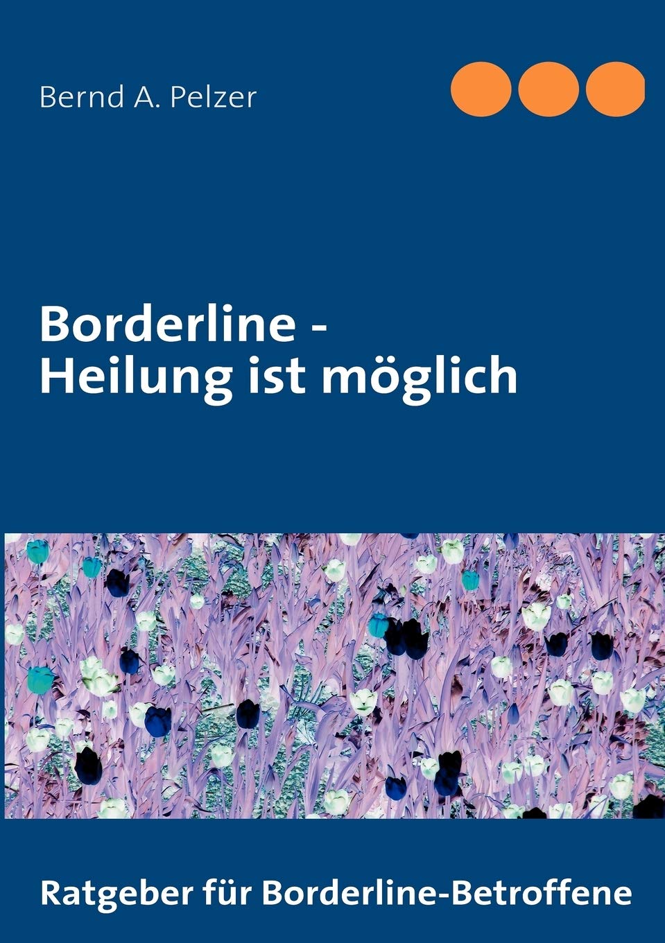 Borderline  Heilung ist mglich (German Edition),Used