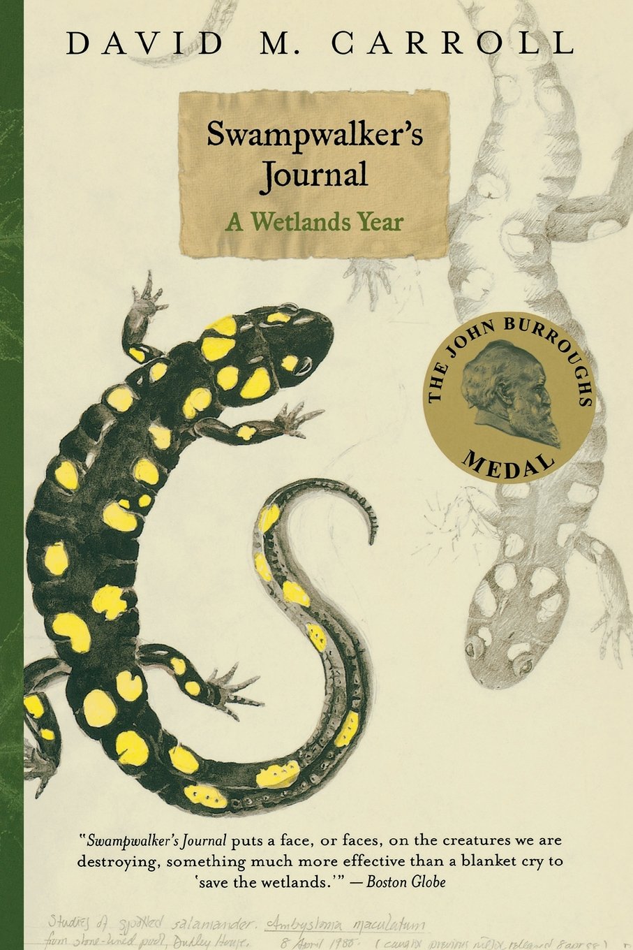 Swampwalker's Journal: A Wetlands Year,New