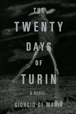 The Twenty Days of Turin: A Novel,Used