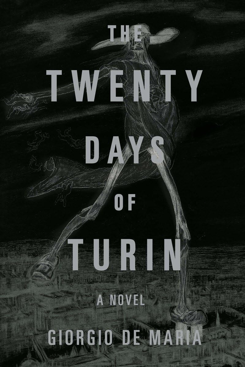 The Twenty Days of Turin: A Novel,Used