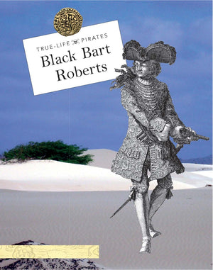 Black Bart Roberts (TrueLife Pirates),Used