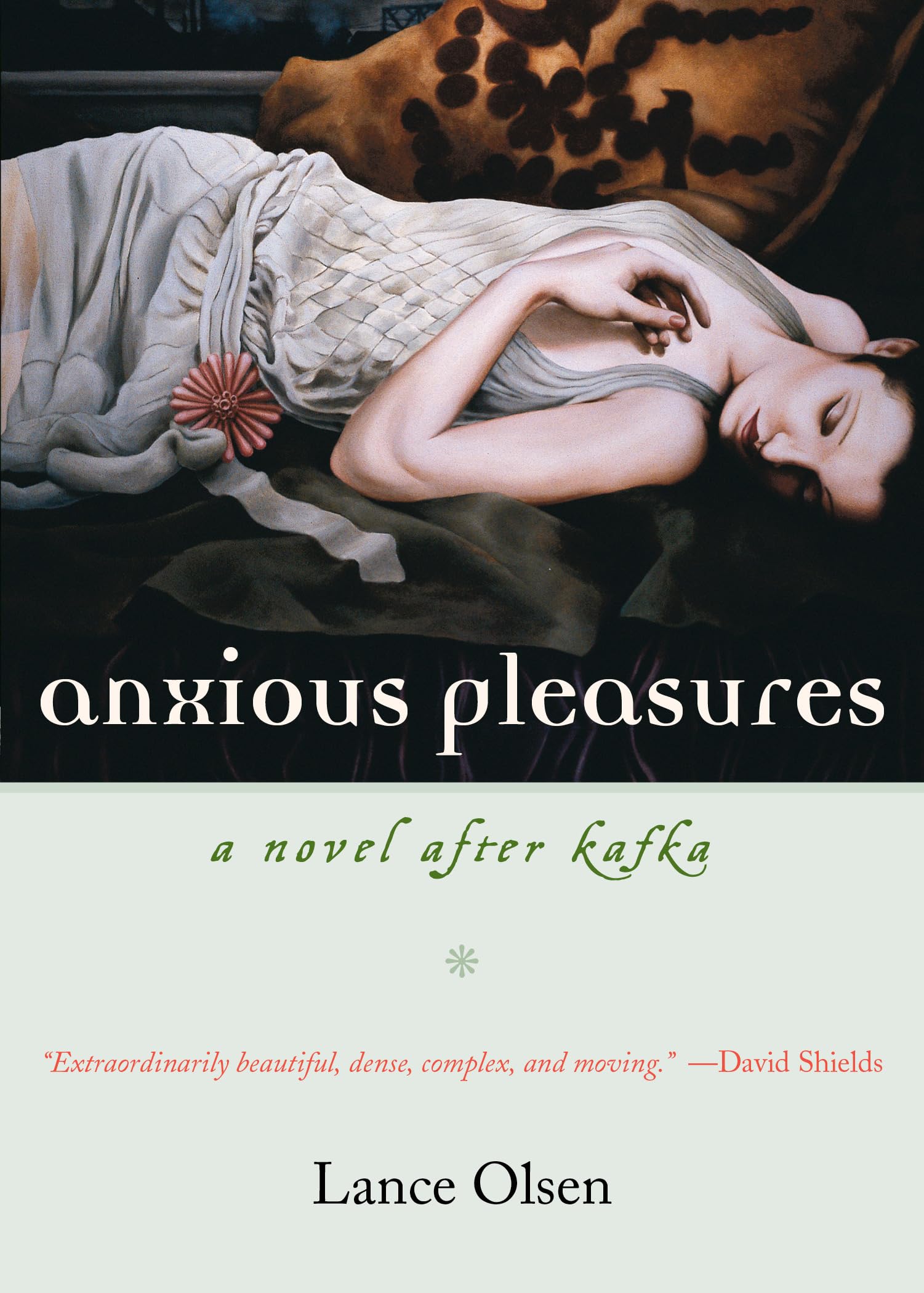 Anxious Pleasures: A Novel After Kafka,New