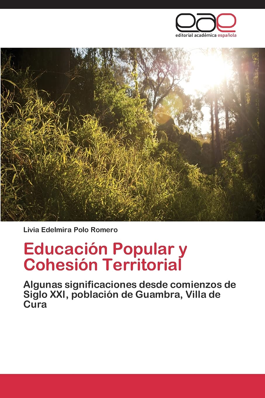 Educacin Popular y Cohesin Territorial: Algunas significaciones desde comienzos de Siglo XXI, poblacin de Guambra, Villa d,Used