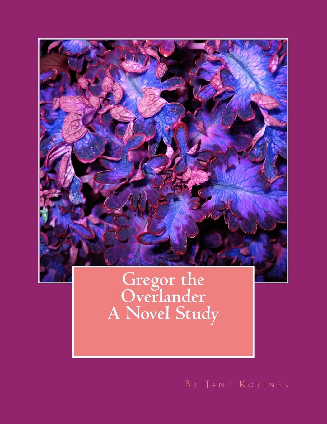 Gregor The Overlander A Novel Study,Used