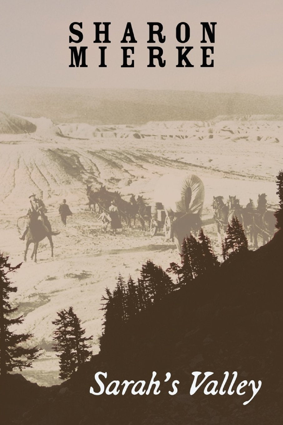 Sarah's Valley,Used