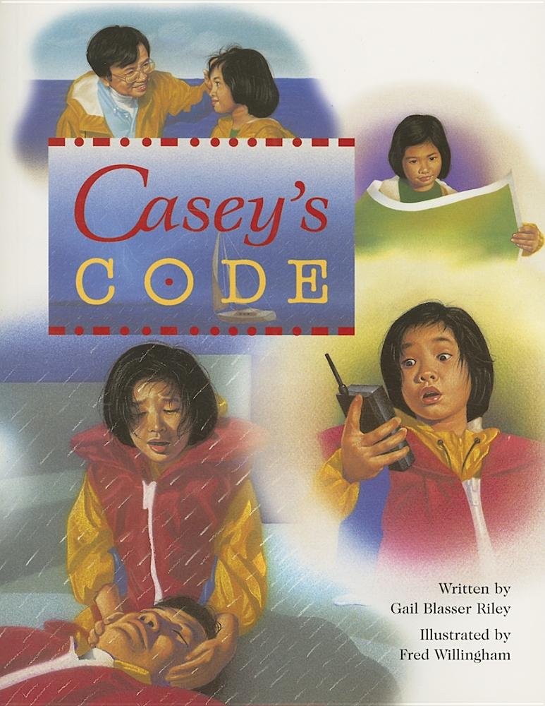SteckVaughn PairIt Books Proficiency Stage 5: Individual Student Edition Casey's Code,Used