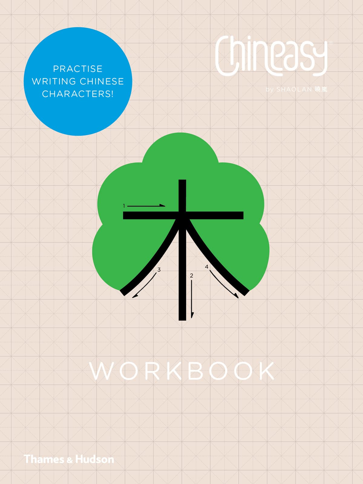Chineasy Workbook (English and Chinese Edition),Used